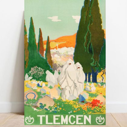 Affiche Tlemcen